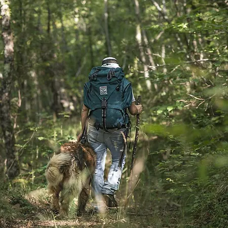 A Casa Da Agata Loro Ciuffenna