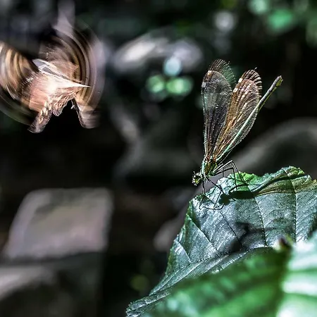 Nocleg ze śniadaniem A Casa Da Agata Loro Ciuffenna