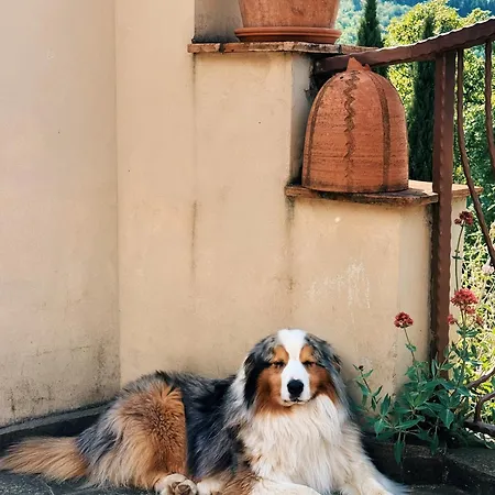 A Casa Da Agata * Loro Ciuffenna